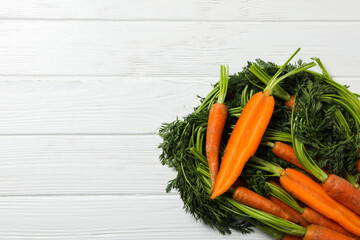 Fresh carrot, concept of harvest, space for text