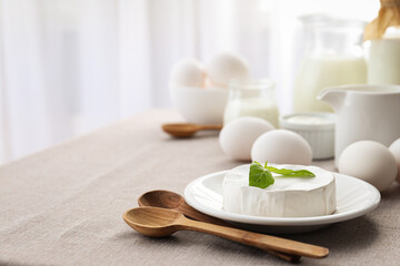 Concept of tasty food - different dairy products