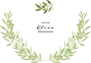 オリーブの枝のベクターイラスト・飾り罫
