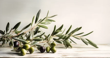 Gordijnen olive branch against a white wooden background, © SK