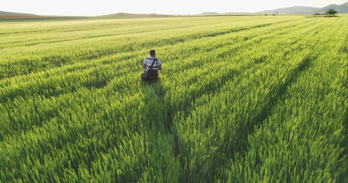 Photographer, videographer takes pictures and videos in a picturesque agriculture wheat field at sunrise, aerial shot