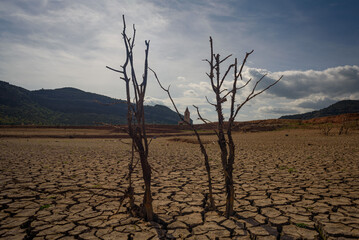 Scorched earth and earth clods are seen on dry land caused by drought and lack of rain due to climate change. Concept of water shortage and climate crisis, cracked earth and dry soil.