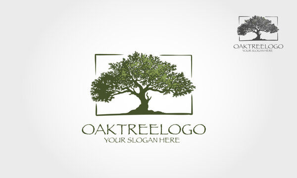 Oak Tree Vector Logo Template. Vector silhouette of a tree.