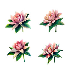 Collection of drawn watercolor flowers