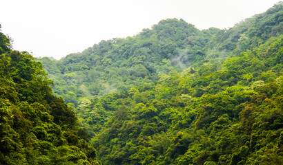 Beautiful natural scenery of river in Taiwan, tropical green forest with mountains in background