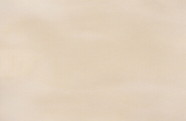 Obraz premium Light wooden abstract texture on an aged wood background 