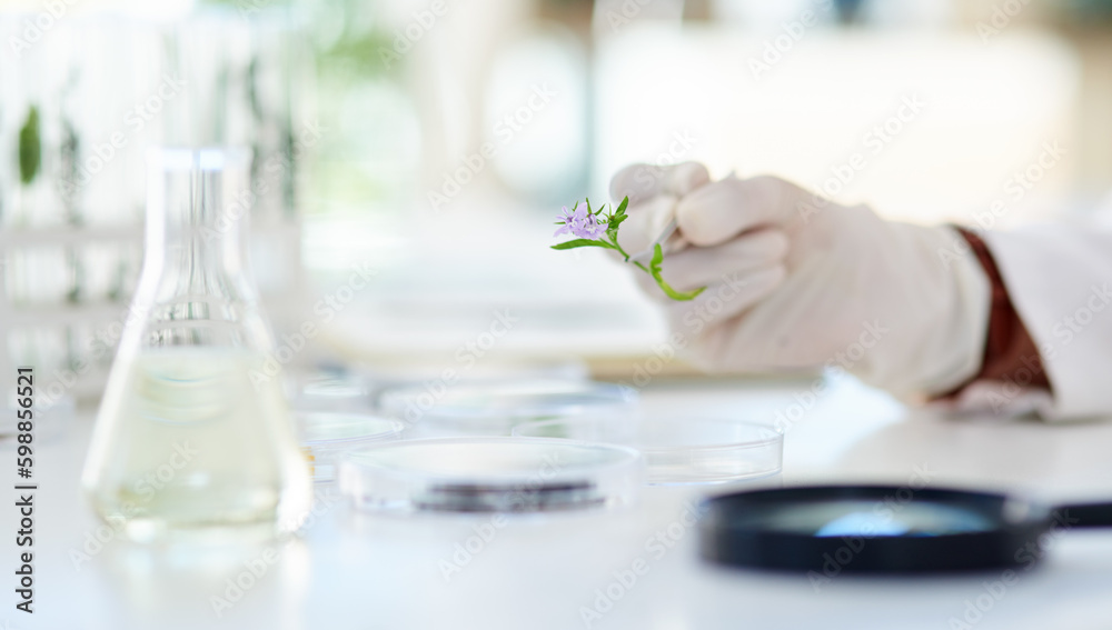 Poster its all about ecology and ecosystems. closeup shot of an unrecognisable scientist working with plant