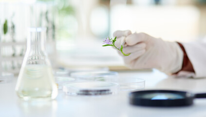 Its all about ecology and ecosystems. Closeup shot of an unrecognisable scientist working with plant samples in a lab.