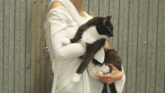 Cat pet black and white held by woman wearing white jumper, animal closeup