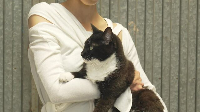 Cat pet black and white held by female Caucasian girl wearing white jumper, animal closeup