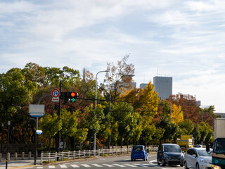 主要道路沿いの紅葉