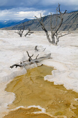 Landscape of Yellowstone National Park