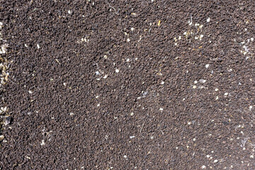 A ground covered with brown pellets and flower petals in spring