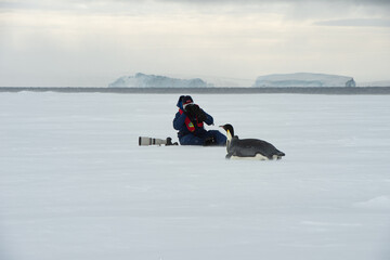 Fototapeta na wymiar Snow Hill Antarctica 2018 photographer taking picture ofEmperor Penguin