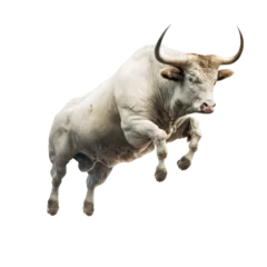 Rolgordijnen Bull isolated on white, transparent background and looks strong and elegant © purich