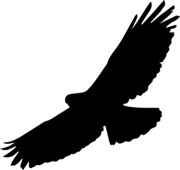 Obraz premium eagle silhouette vector
