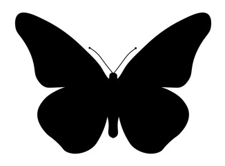 butterfly isolated on white  butterflies silhouettes 