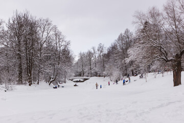 Fototapeta na wymiar Snow-covered Alexander Park in Pushkin