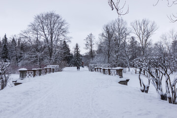 Snow-covered bridge in Alexander Park in Pushkin