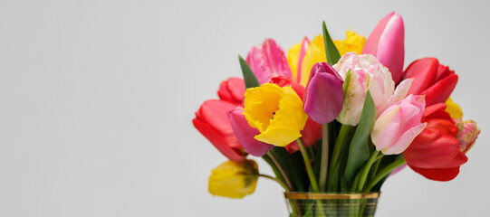 Close up bouquet of colorful tulips in glass vase on white background. Web banner, copy space on the left.