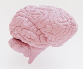 Realistic 3D Render of Plastic Human Brain