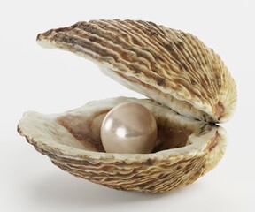 Realistic 3D Render of Pearl in Shell
