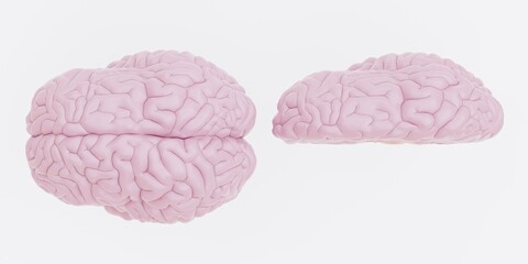 Realistic 3D Render of Plastic Human Brain