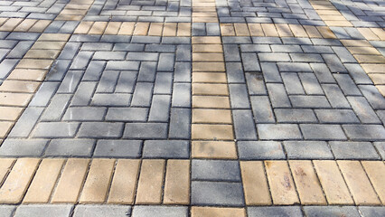 Gray tiles on the sidewalk in the city outdoors And the shadow of the plants on top of the sunspots. Background and texture with lines and squares of tiles. Abstract frame, copy space, place for text