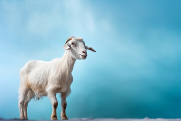 Fototapeta premium A potrait of cute animal goat with large empty background. generative ai