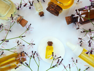 Flat lay composition with bottles of natural cosmetic oils on a white background
