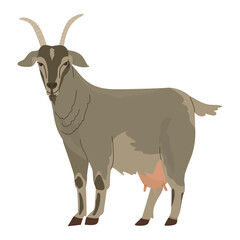 Domesticated animals. Goat. Farm pets. Household. Vector illustration. Isolated object on white background.