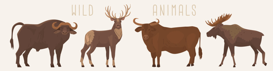 Set of 4 ungulates. Buffalo, bull, deer, elk. Wild Forest and steppe animals. Environmental protection. Cattle. Vector illustration. Isolated objects on white background.