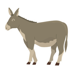 Gray donkey. Draft animal. Livestock. Farm pets. Household. Vector illustration. Isolated object on white background.