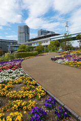 Obraz premium 花の広場・シンボルプロムナード公園（東京都お台場）