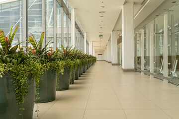 Corridor connecting the building Airport Morning White tone, clear