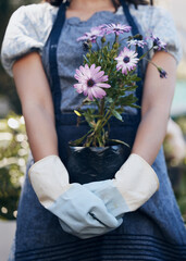 Purifying the air and giving fresh strength to our people. a unrecognizable female florist working...