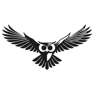 owl image png