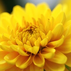 background of yellow flowers in close-up.  generative AI