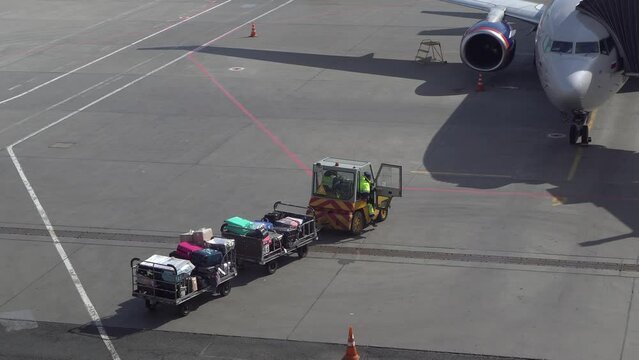 Trailer truck full of suitcases on the runway. Workers carry suitcases to load on the plane.