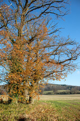 Autumn countryside scenery