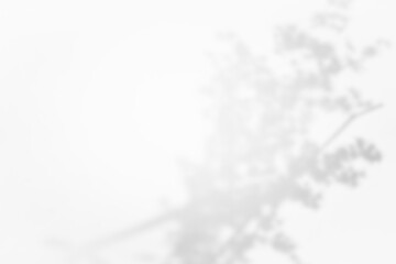 flower shadow overlay