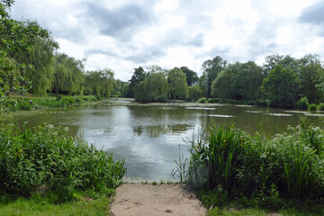 Lakeshore scenery in the park