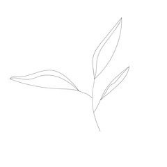 Vector silhouette of grass with leaves. One line, hand drawn.