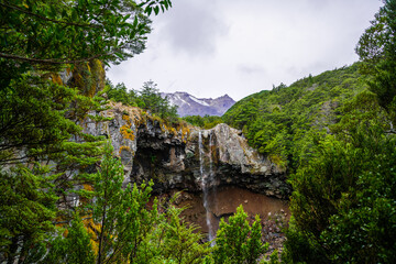 Fototapeta na wymiar View over Mangawhero Falls rushing down from 20m height of the rocks into a small river. Magnificent peaks of Mt Ruapehu behind Mangawhero Falls, Tongariro National Park, New Zealand
