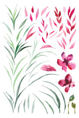 Watercolor painting slender petal swaying flowers elements collection 