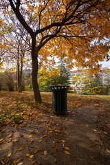 Dustbin in the park with yellowed leaves in autumn