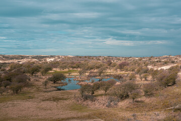 Obraz premium little lake in the dunes of North Sea