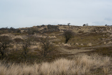 sand dunes on the coast of the north sea