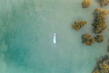 Boat in the middle of the blue sea with mangroves around it