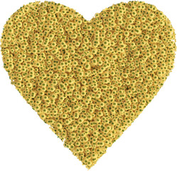 Flower garden in the shape of a heart